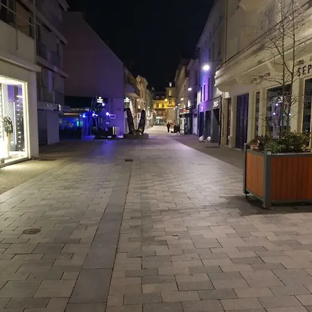 Nid Douillet Au Centre Apartment