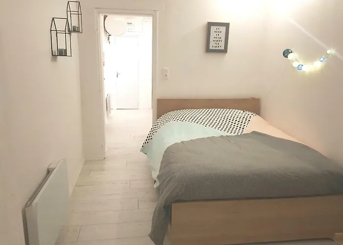 Nid Douillet Au Centre Apartment